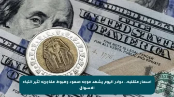 أسعار متقلبة.. دولار اليوم يشهد موجة صعود وهبوط مفاجئة تثير انتباه الأسواق